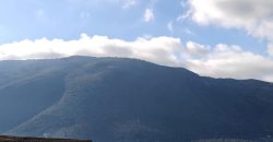 Πωλείται πανοραμικό αγροτεμάχιο 7.265,76 τ.μ. στην Πλαταριά Θεσπρωτίας 420.000€ ( 091)