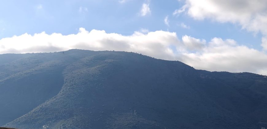 Πωλείται πανοραμικό αγροτεμάχιο 7.265,76 τ.μ. στην Πλαταριά Θεσπρωτίας 420.000€ ( 091)