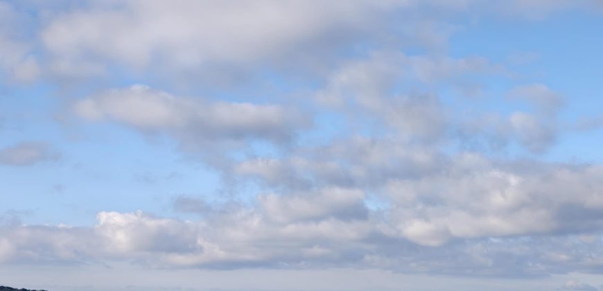 Πωλείται πανοραμικό αγροτεμάχιο 7.265,76 τ.μ. στην Πλαταριά Θεσπρωτίας 420.000€ ( 091)