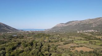 Πωλείται αγροτεμάχιο 7.698,19 τ.μ. στην Φασκομηλιά Πλαταριάς 85.000€ (337)